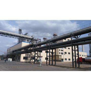 5000t/a Soy Protein Isolate Production Line