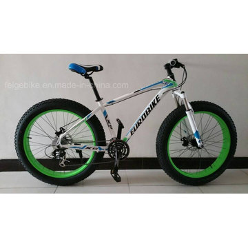 Steel Frame Fat Tire Mountain Bicycle (FP-MTB-FAT03)