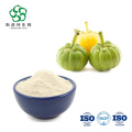 CAS 90045-23-1 60% HCA Garcinia Cambogia en polvo