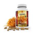 Wholesale Herbal Supplement Cordyceps Sinensis Capsule