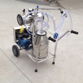 304 stainless steel buckets Mobile milking machine