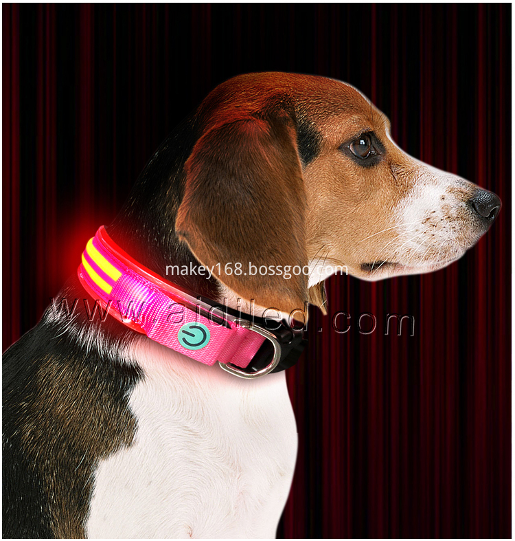 Best Led Collars For Dogs