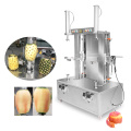 Industrial Fruit Peeler Machine Peeling Fruit Machine