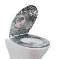 Fanmitrk Duroplast Toilet Seat Quick Release (padlock)