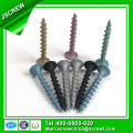 Couleurs Peinture Flat Head Drywall Screw