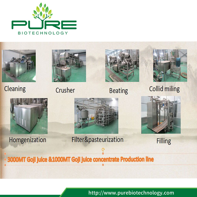 goji juice processing line