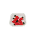 Food Containers Disposable Plastic Lunch Box