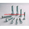 HEX BOLTS  WITH 2h Heavy Hex Nut