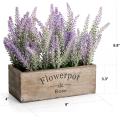 Potted Lavender Plant with Wooden Tray