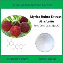 Natural Myricetin 99% del extracto de la corteza de Bayberry