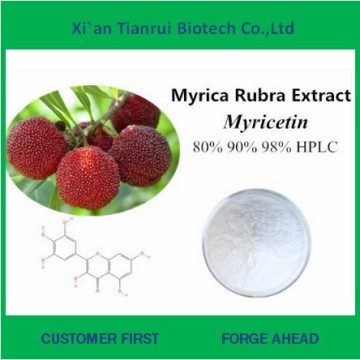 Natural Myricetin 99% From Bayberry Bark Extract