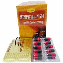 Ampicillin cápsulas 500 mg