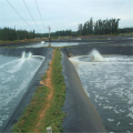 LDPE FRIMP FARM FARM Liner Гладкий HDPE Geomembrane