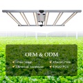 Wenyi Best Sunlight Bars 1000W Grow Lights