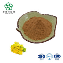 High Quality Forsythia Fructus St John's Wort Extract