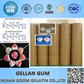 Gellan Gum used in Antwork