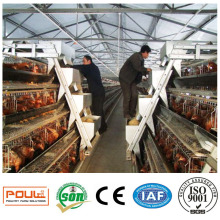 Best Design Durable Automatic Battery Layer Chicken Cage