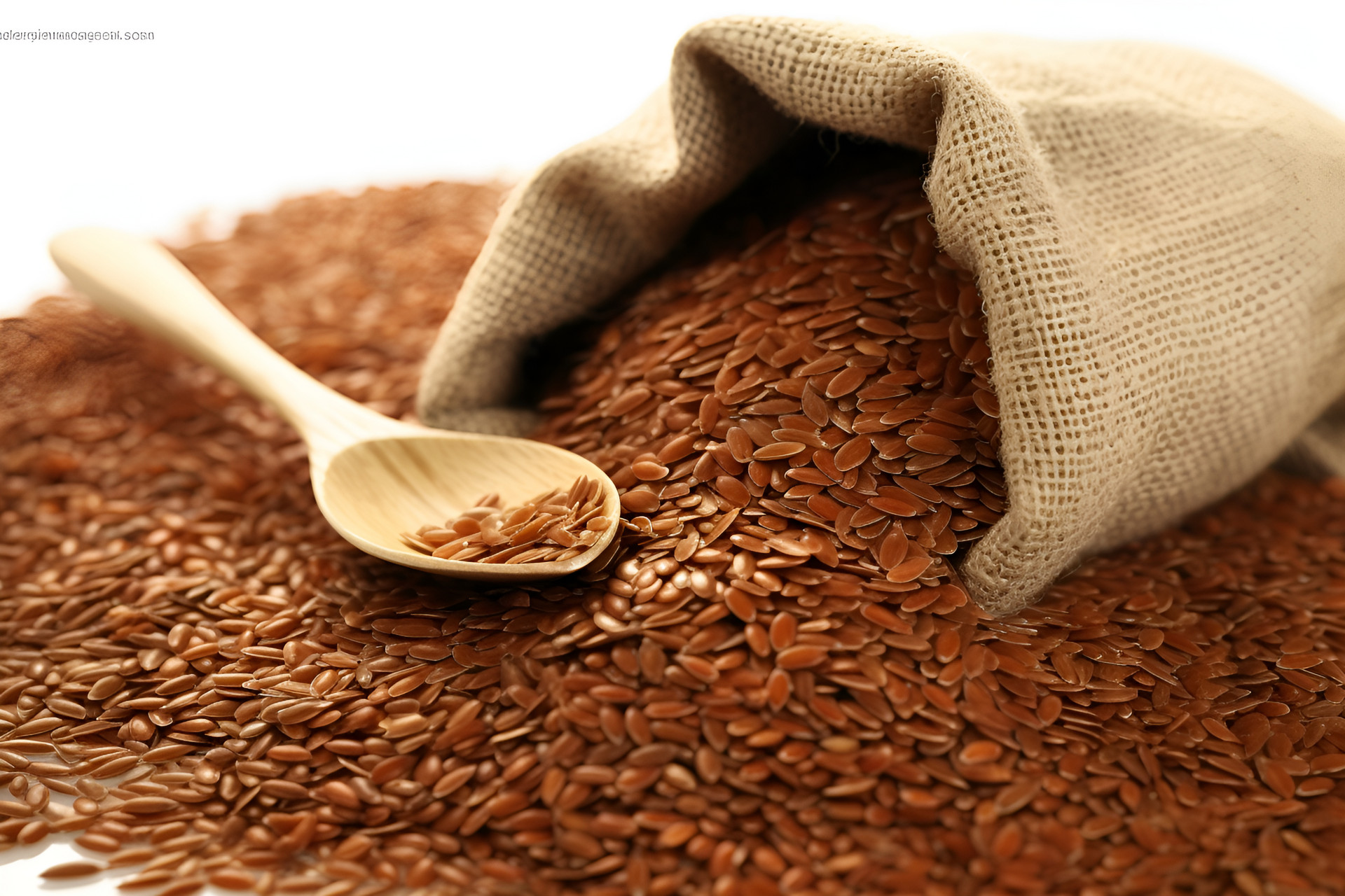 Flaxseed Extract 20% Flaxseed Extract 20%