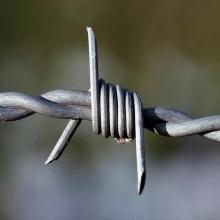 Stacheldraht / Plastiküberdachter Stacheldraht / Rasiermesser Stacheldraht