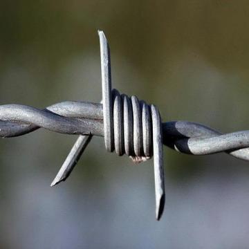 Barbed Wire/Plastic Covered Barbed Wire/ Razor Barbed Wire