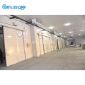 Large Insulated Structures Refrigerated Cold Rooms