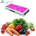 2000W Double Chips LED wachsen leicht