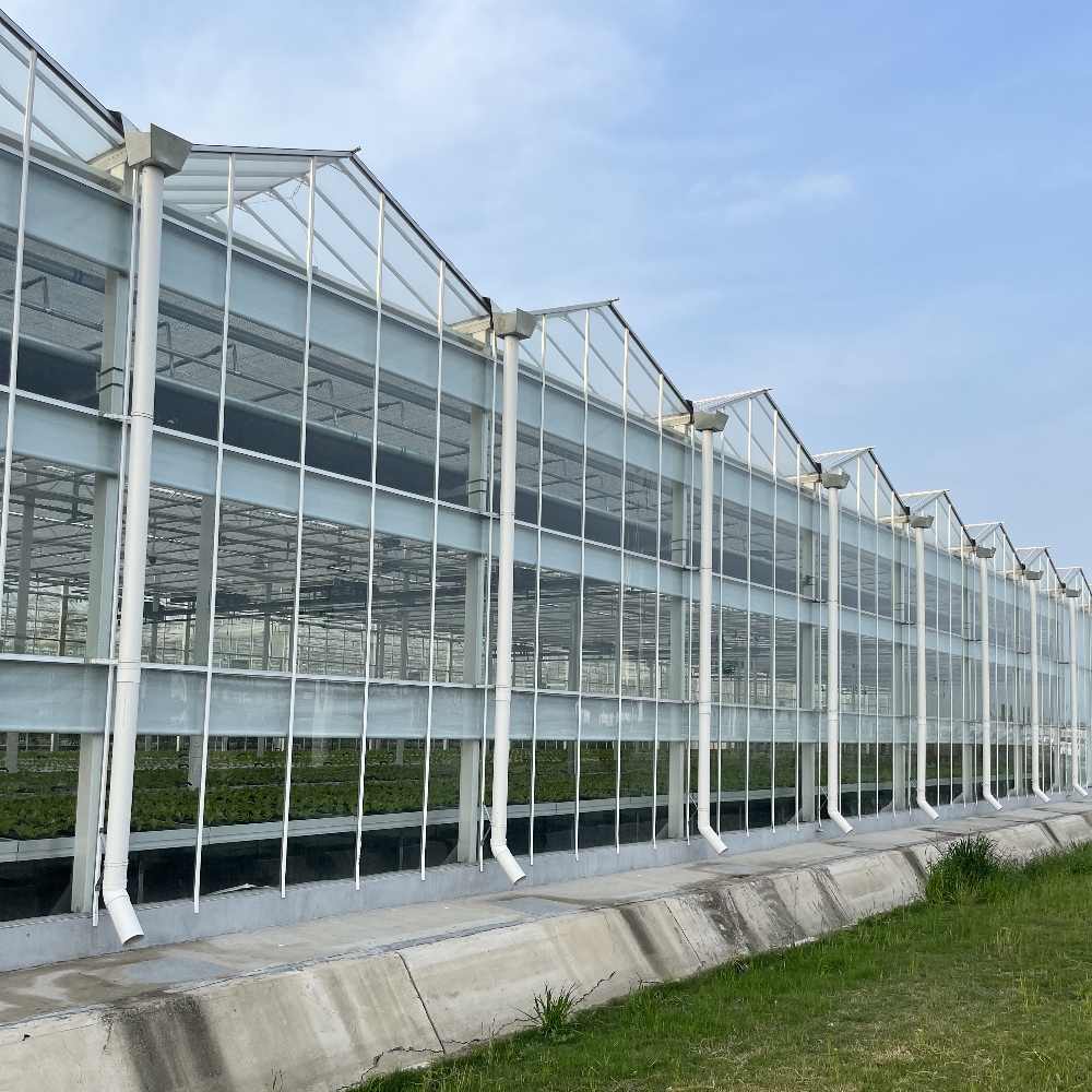 Venlo Glass Greenhouse Venlo Glass Greenhouse