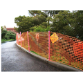 Economic Safety Fence mesh