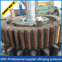 The Gear Forgings/ Factory Suppy/Forged Part