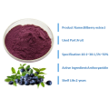 Factory Supply bilberry fruit powder