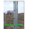 Galvanized Steel Vineyard Post Roll Forming Equipment Italy