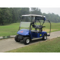 battery or gas powered two seater golf car