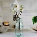 Tall Transparent Green Colored Recycled Bottle Glass Vases