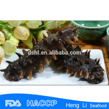 frozen sea cucumber price for sale for export vacuum package
