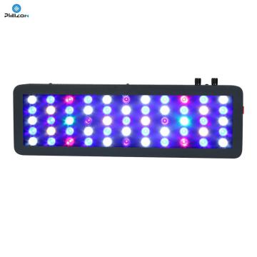 Luminaire LED pour aquarium avec minuterie, 165 W dimmable