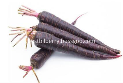 Black Carrot