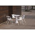 Plastic Dining Chairs