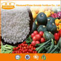 Calcium Nitrate Nitrogen Fertilizer Secondary Element