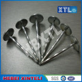 Galvanized Umbrella Roofing Nail With Large Head