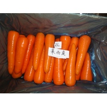 Новые свежие морковь с разрыв сертификации