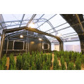 Blackout Privation Greenhouse Light Dep Green House