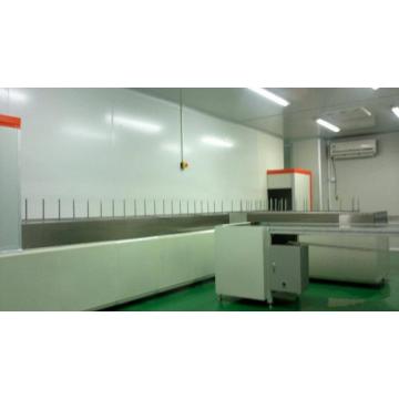 Fully Automatic painting line