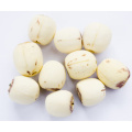 Organic Lotus Seed, Chinese Lotus Seed