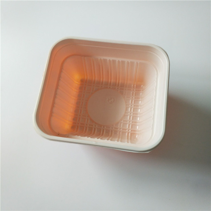 Plastic Bento Food Container