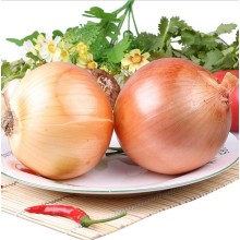 In 2016 The New Harvest Fresh Onions