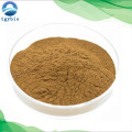 Ganoderma extrait polysaccharide ganoderma lucidum poudre