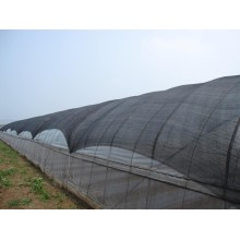 Black Shade Net for Vegetable