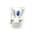 Original Projektorlampe NP07LP Bare Bulb