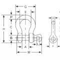 Forged G209 US Type Shackle With Screw Pin