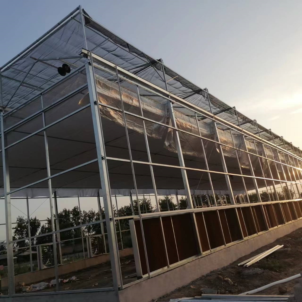 Greenhouse with External Shading Greenhouse with External Shading